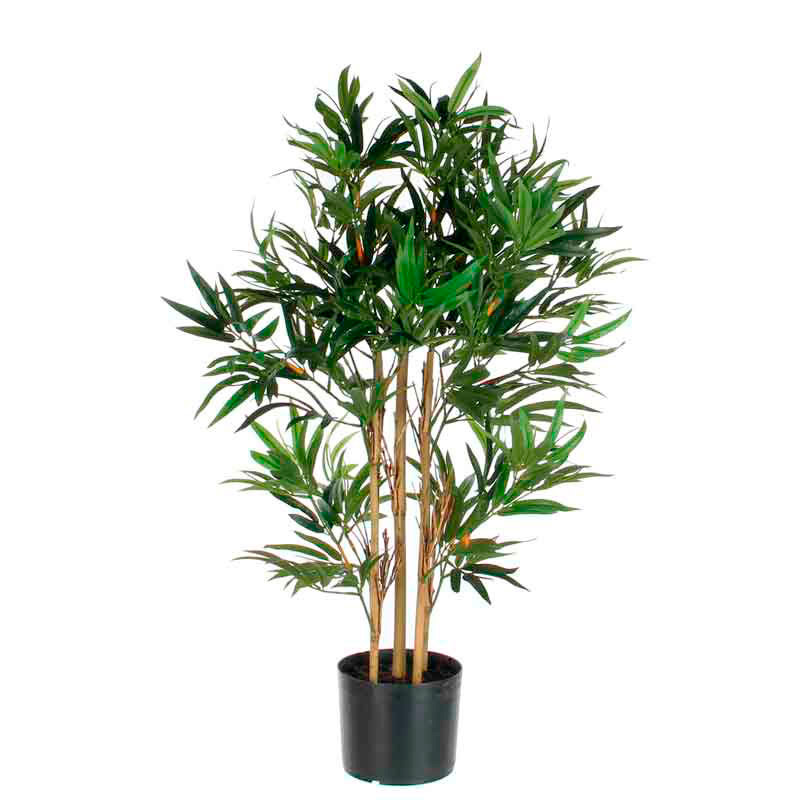 Plant Bamboo 150cm excl. pot