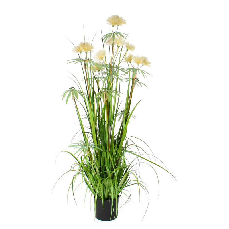 Plant Ornamental Grass Pom Pom 150cm