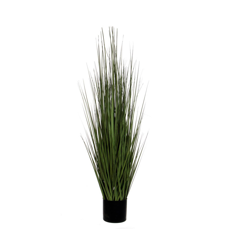 Plant Ornamental Grass 122cm