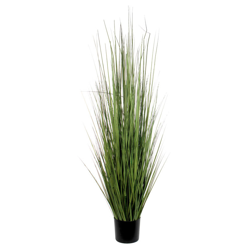 Ornamental Grass 153cm