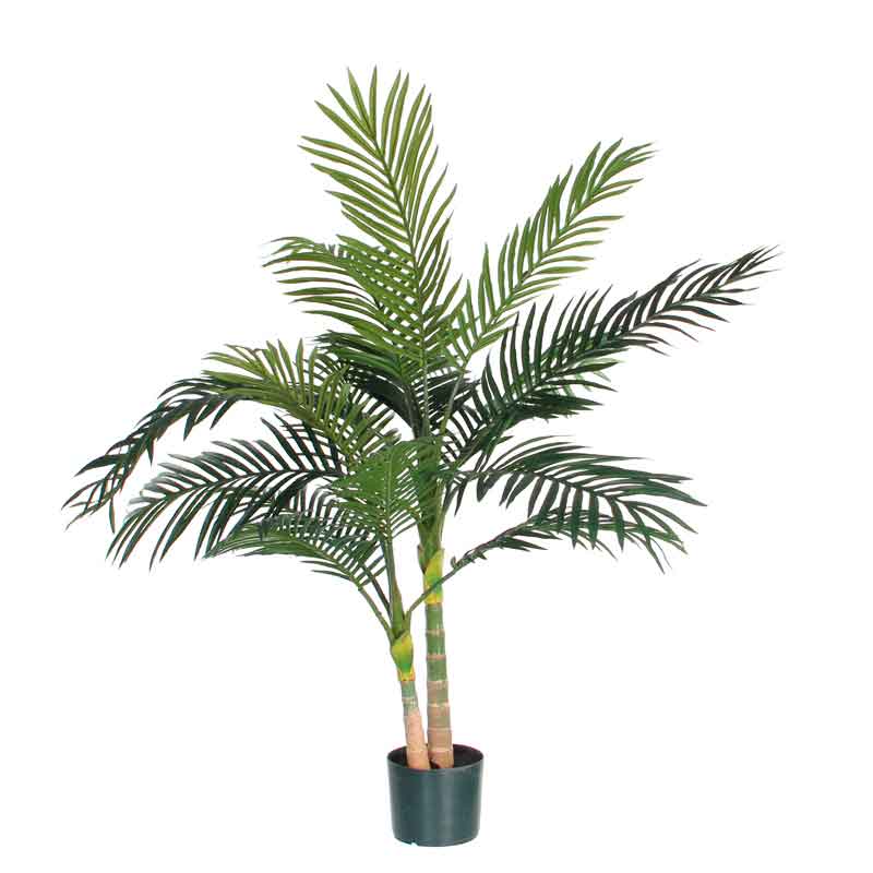 Areca / Golden Cane Palm, 120cm